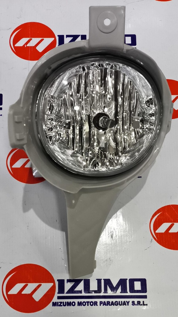 BUSCAHUELLA BLANCO LH